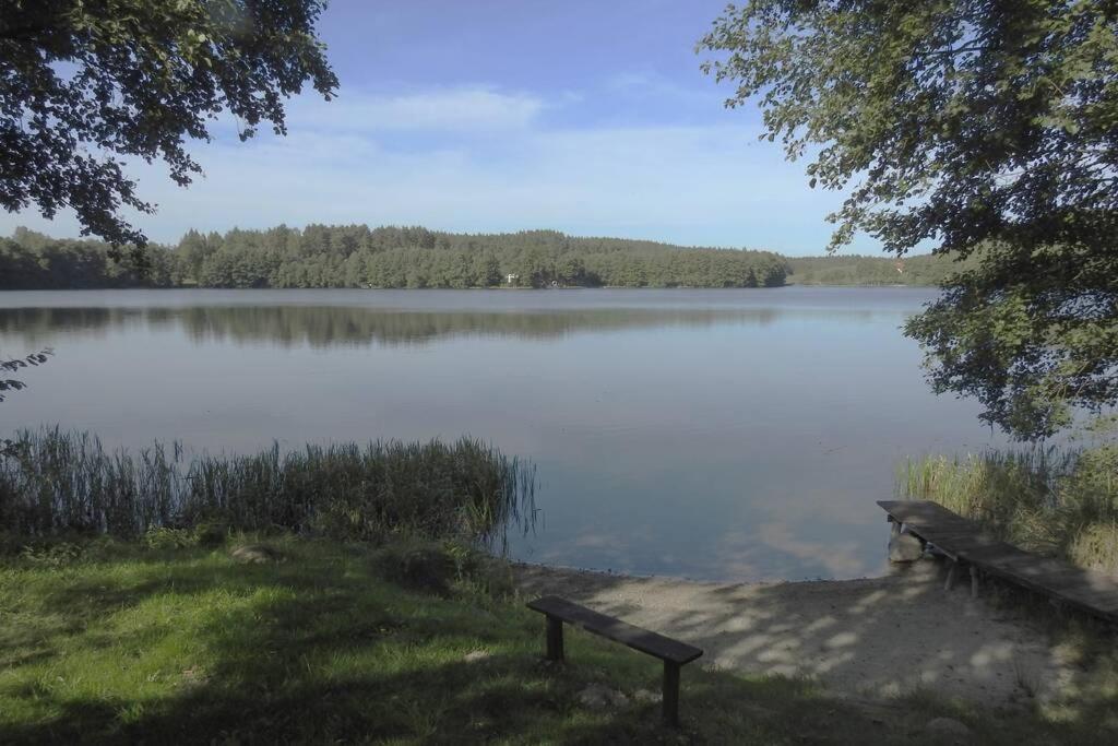 Modrzewiowy Domek Letniskowy - Stare Czaple Brodnica  Kültér fotó