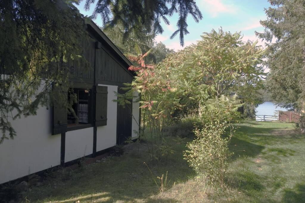 Modrzewiowy Domek Letniskowy - Stare Czaple Brodnica  Kültér fotó